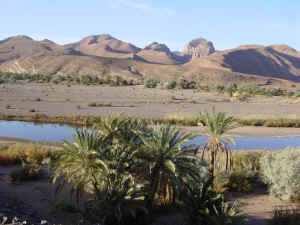 morocco dec 2002 028.jpg (329941 bytes)