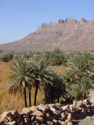 morocco dec 2002 042.jpg (331378 bytes)