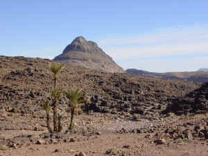 morocco dec 2002 081.jpg (327678 bytes)